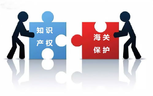 知識(shí)產(chǎn)權(quán)服務(wù) 專業(yè)護(hù)航創(chuàng)新的核心特點(diǎn)解析